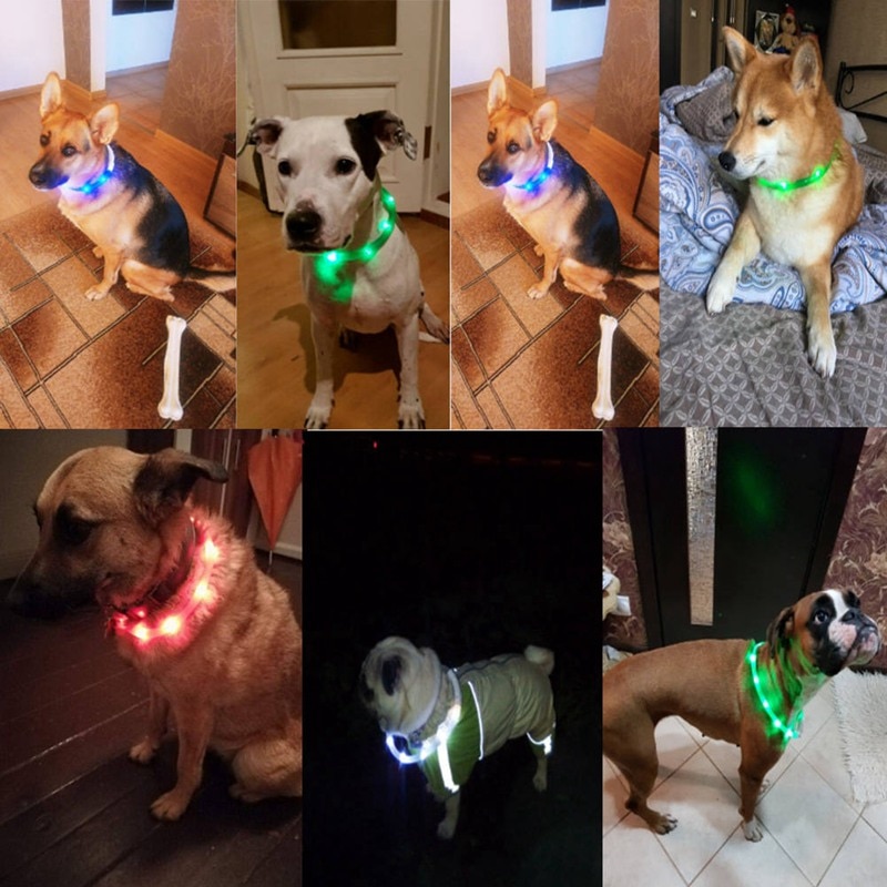 Pet-Waterproof-USB-Rechargeable-LED-Dog-Collar-Night-Safety-Flashing-Pet-Supplies-Dog-Accessories-For-Puppy-4.jpg