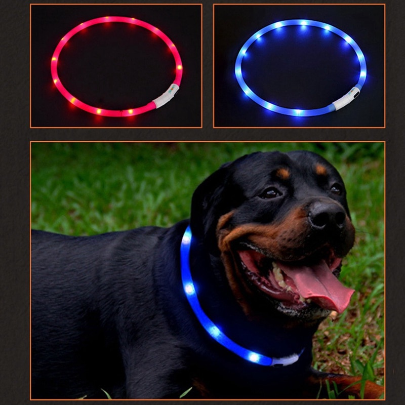 Pet-Waterproof-USB-Rechargeable-LED-Dog-Collar-Night-Safety-Flashing-Pet-Supplies-Dog-Accessories-For-Puppy.jpg
